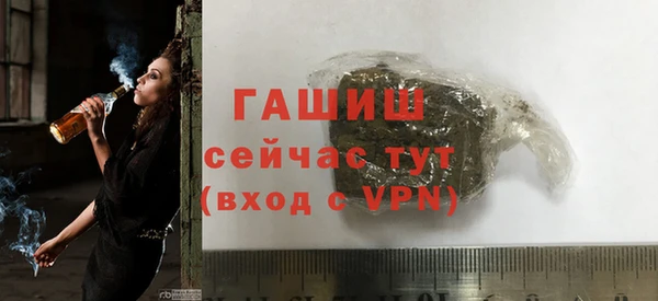 стаф Пересвет