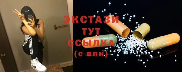 стаф Пересвет