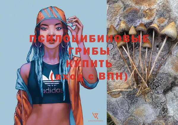 спайс Киреевск