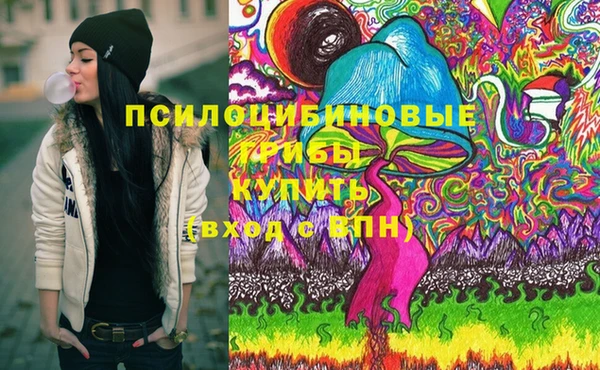 стаф Пестово