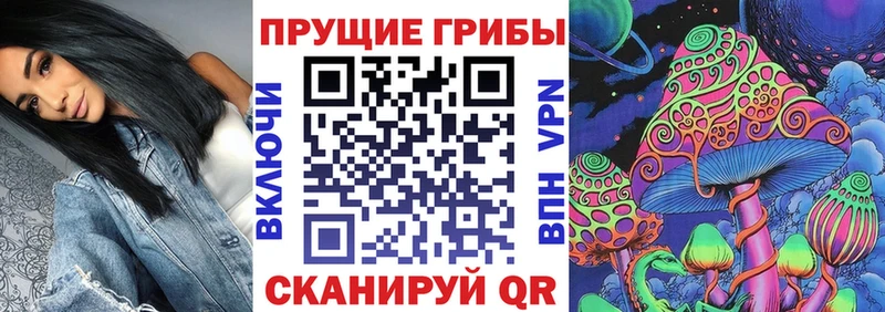Купить где Жигулёвск Псилоцибиновые грибы мухоморы